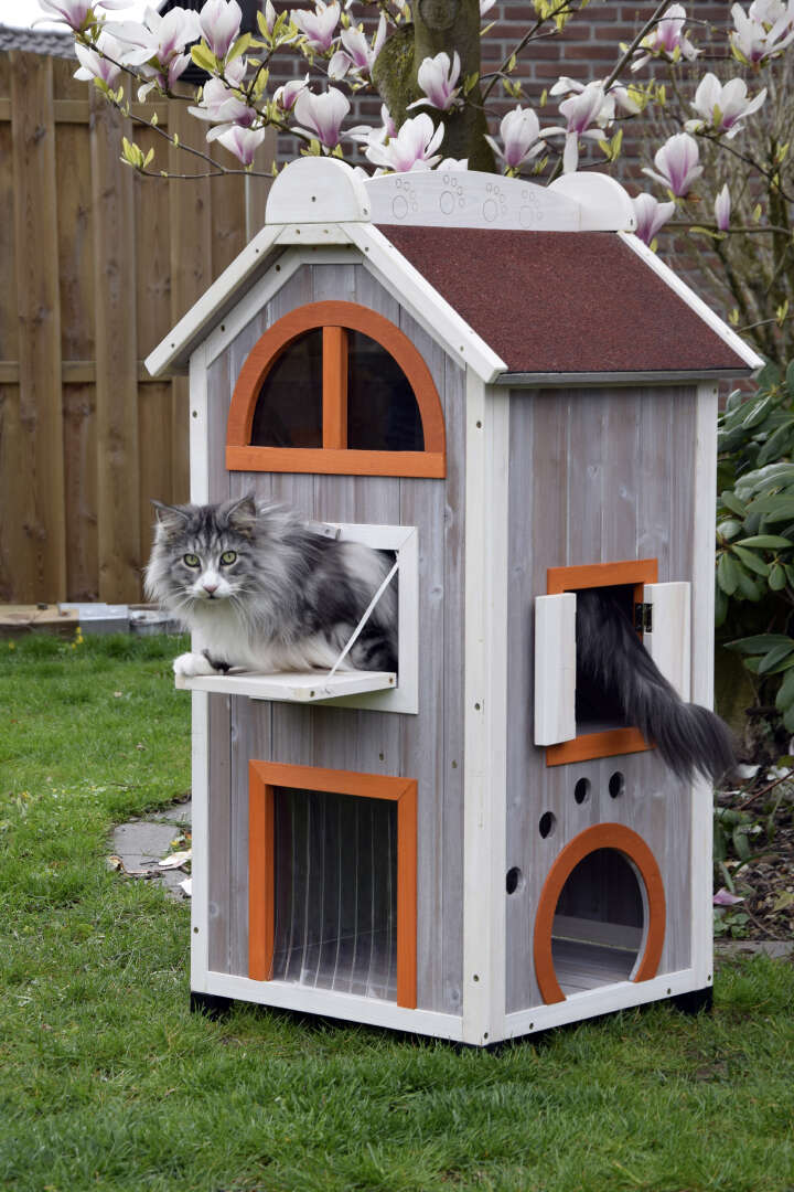 dobar Katzenhaus Fancy Cat